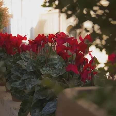 Canova In Spanish Steps Affittacamere 4*